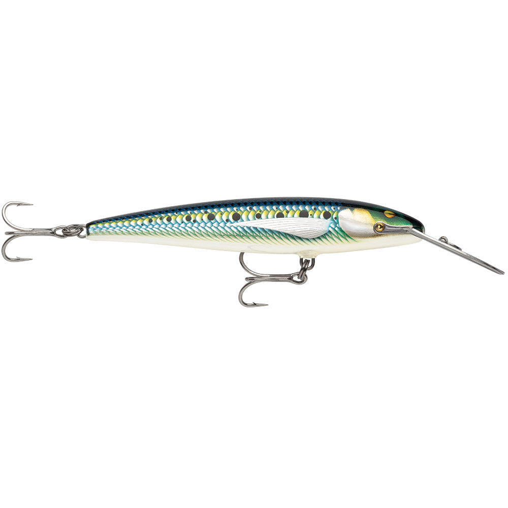 Rapala CountDown Magnum Elite 185 - 7" - Armored Sardine [CDMAGE185AMSRD]